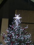 20051126i.jpg