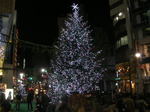 20051126j.jpg