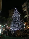 20051126k.jpg
