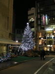 20051126l.jpg