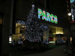 20051126m.jpg