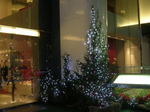 20051126o.jpg