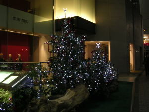 20051126p.jpg