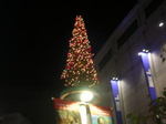 20051127a.jpg