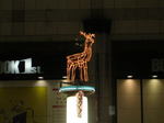 20051127b.jpg
