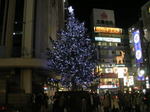 20051127f.jpg