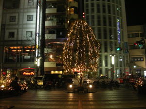 20051127g.jpg