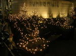 20051127h.jpg