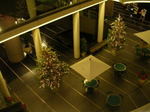 20051127i.jpg
