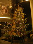 20051127j.jpg