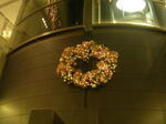 20051127l.jpg