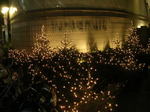 20051127m.jpg