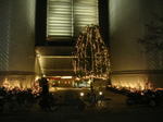 20051127n.jpg