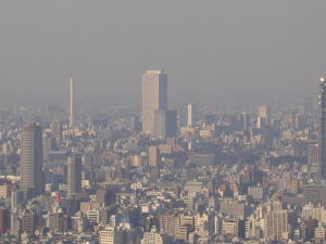 20060321b.jpg
