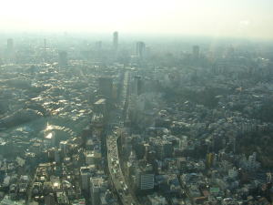 20060321d.jpg