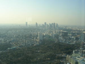 20060321f.jpg