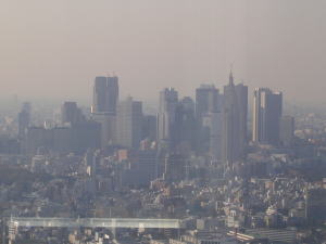 20060321g.jpg