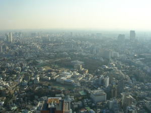 20060321h.jpg