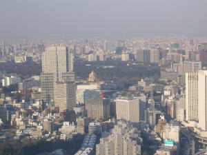 20060321m.jpg