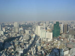 20060321p.jpg