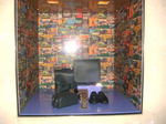 20060706d.jpg