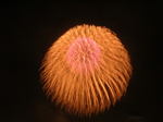 20060717x.jpg