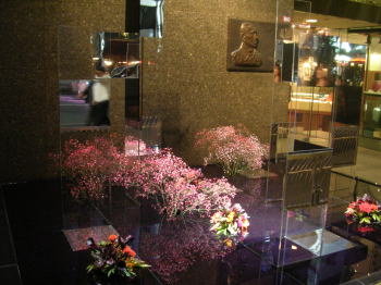 20061029a.jpg
