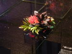 20061029c.jpg