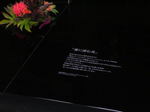 20061029e.jpg