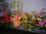 20061209d.jpg