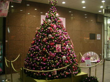 20061210b.jpg