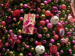 20061210f.jpg