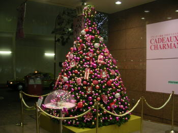 20061210g.jpg