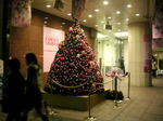 20061210j.jpg