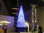 20061210k.jpg