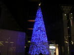 20061210n.jpg
