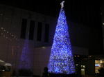 20061210o.jpg