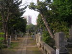 20070610a.jpg