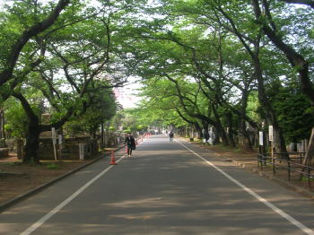 20070610b.jpg