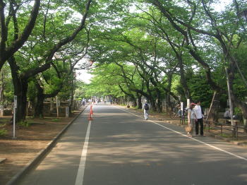 20070610c.jpg