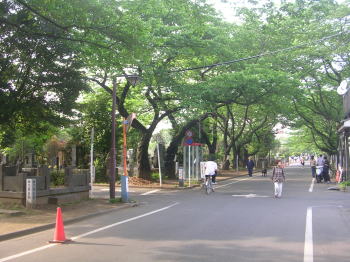 20070610f.jpg
