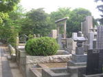 20070610g.jpg