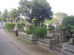20070610j.jpg