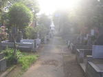 20070610l.jpg