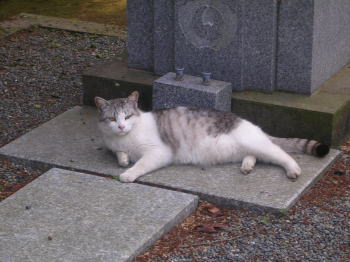 20070611a.jpg