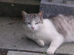 20070611b.jpg