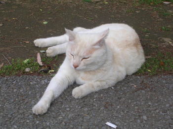 20070611c.jpg