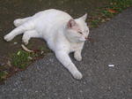 20070611e.jpg