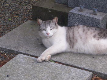 20070611f.jpg