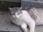 20070611g.jpg